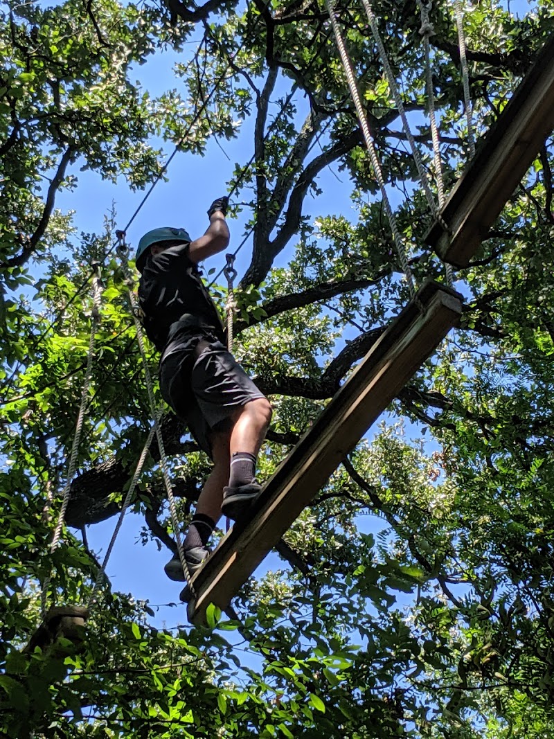 Trinity Forest Adventure Park photo 2
