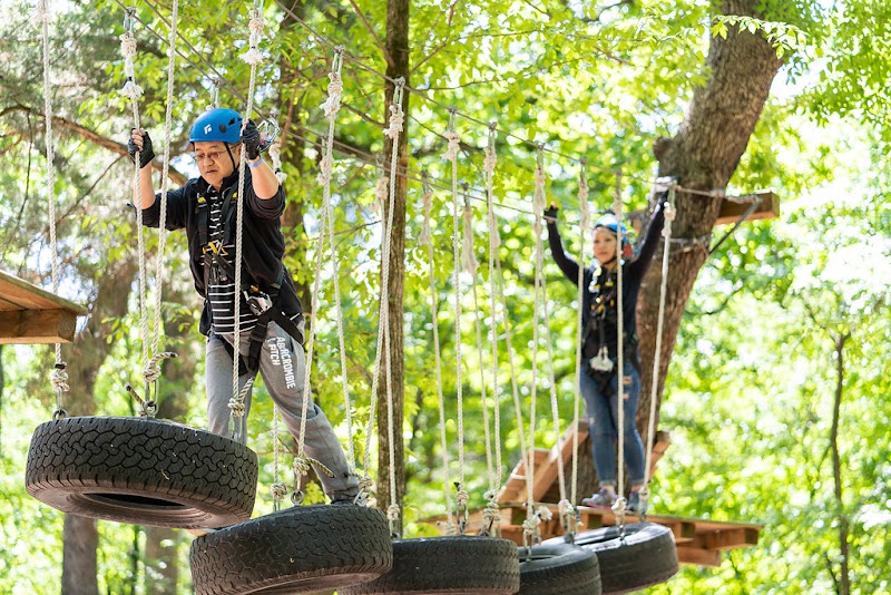 Trinity Forest Adventure Park photo 3