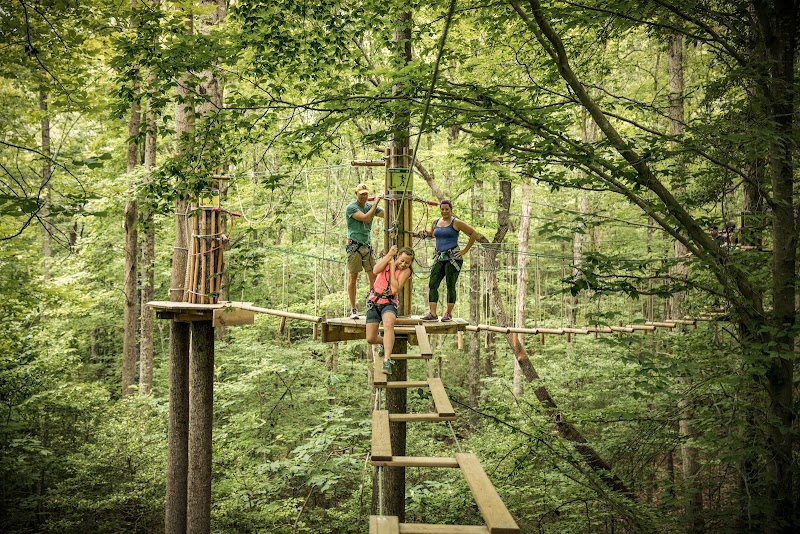 Go Ape Arlington