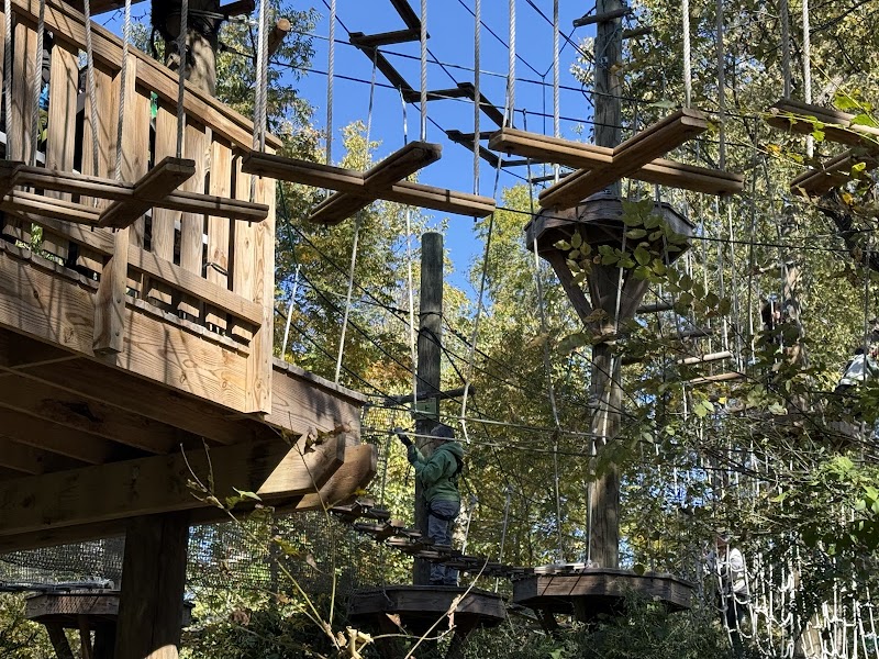 Go Ape Arlington photo 2