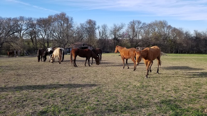 Broken Bow Ranch photo 3
