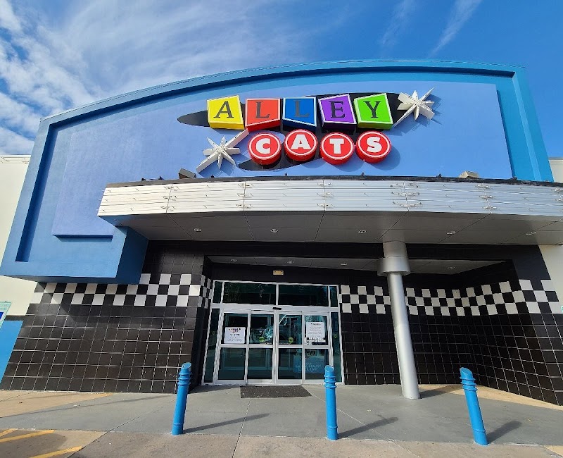 Alley Cats Entertainment Arlington