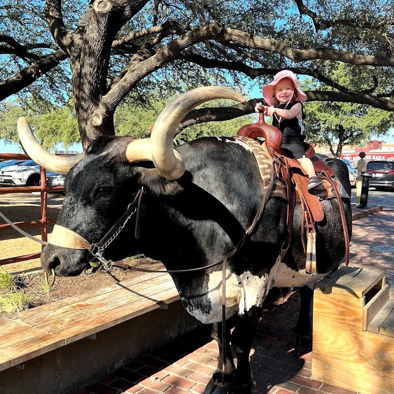 Stockyards Stables Fort Worth photo 2