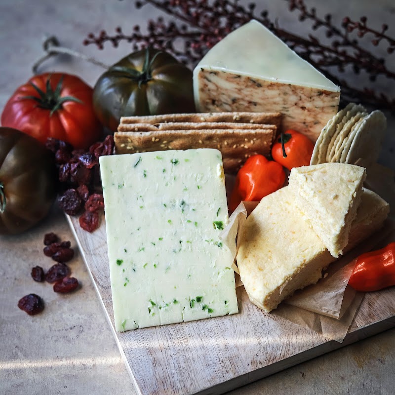 Mozzarella Company photo 2