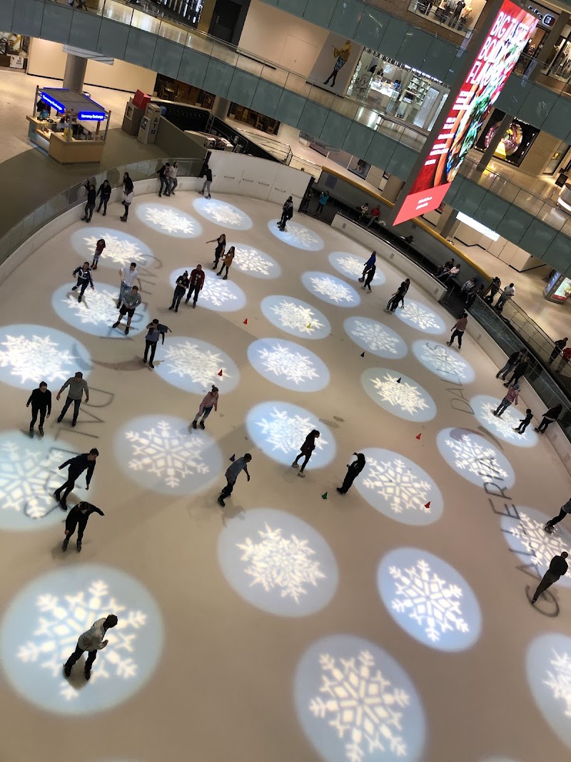 Galleria Dallas Ice Skating Center photo 3